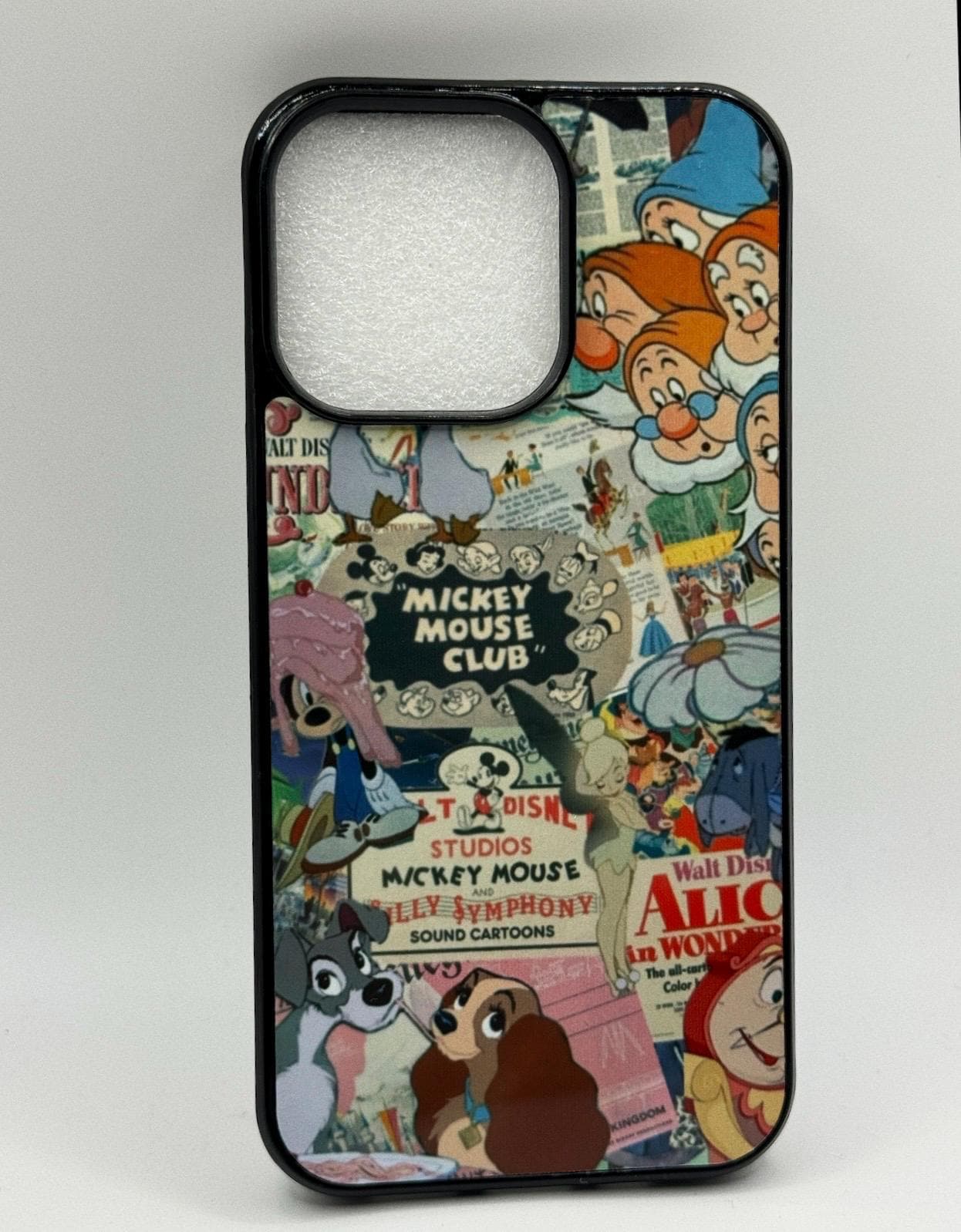 Vintage Disney Case
